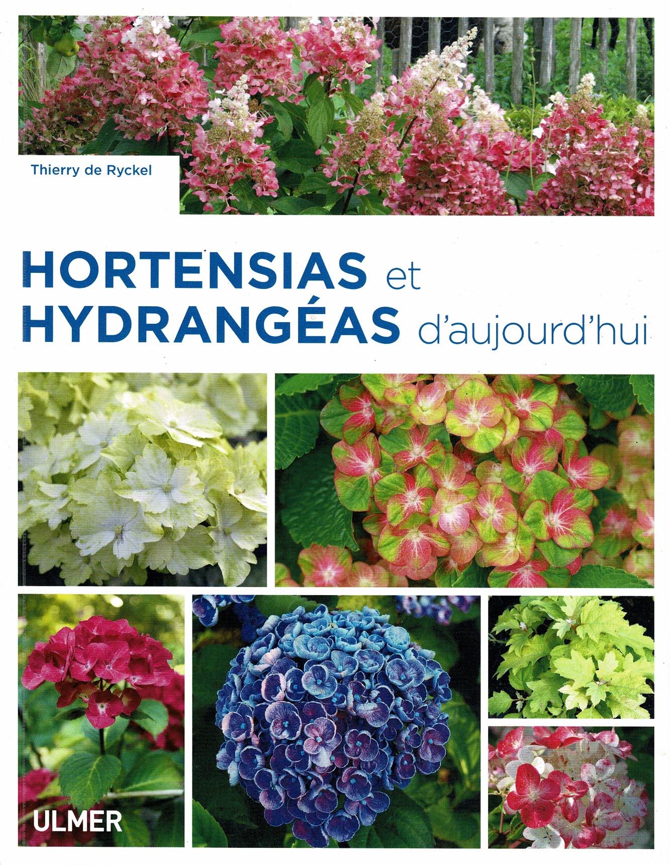 « Hortensias et hydrangeas d’aujourdhui » éd. Ulmer